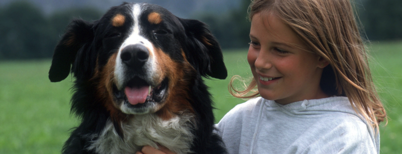 kind_hund_tierallergie