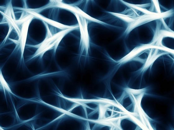 trabekel_knochenstruktur