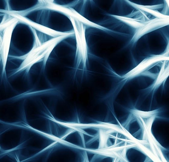 trabekel_knochenstruktur