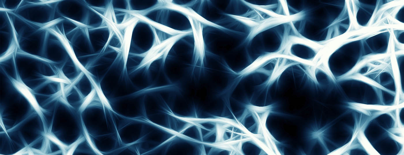 trabekel_knochenstruktur