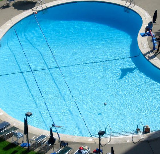 niere_nephrologie_swimmingpool