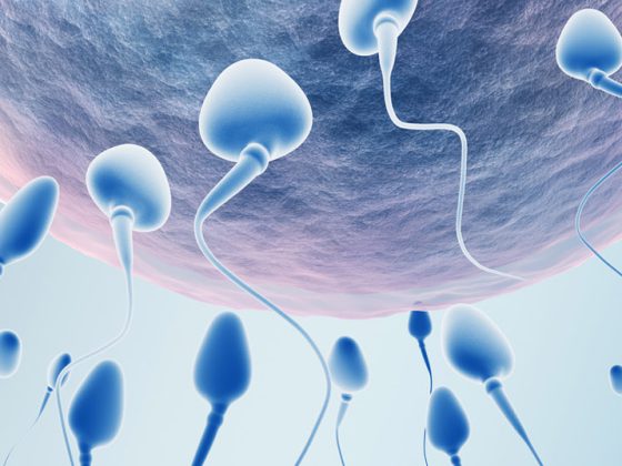 spermien_befruchtung