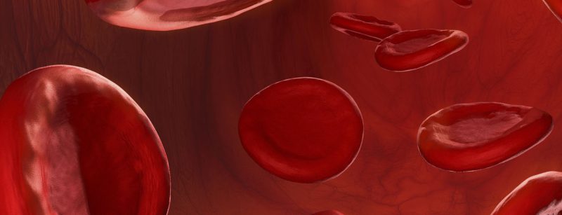 blutkorperchen