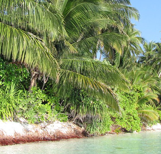 urlaub_ferien_strand_malediven