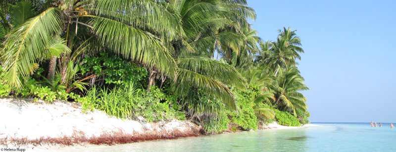 urlaub_ferien_strand_malediven