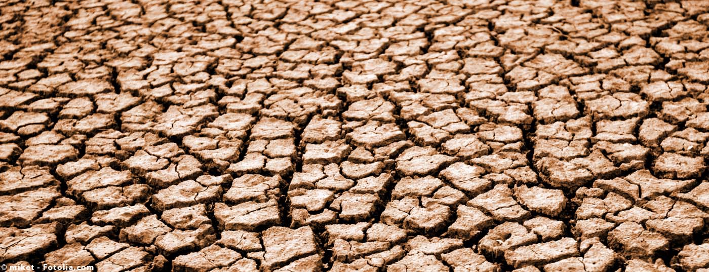wuste_trocken