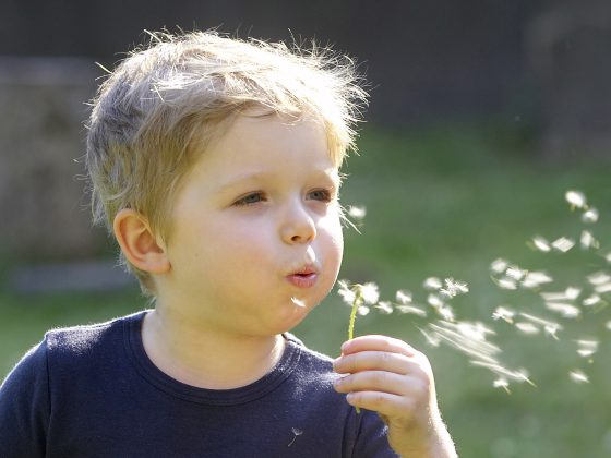 kind_allergie_lowenzahn