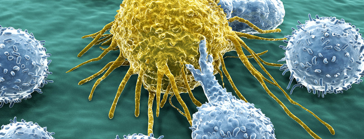 t-zelle_lymphozyten_krebs