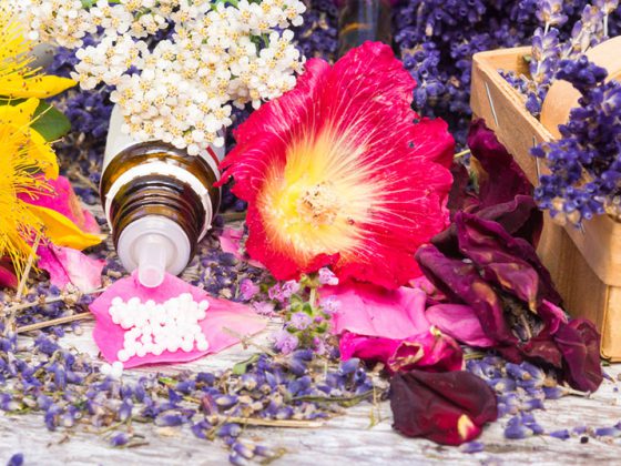 phytotherapie_pflanzen