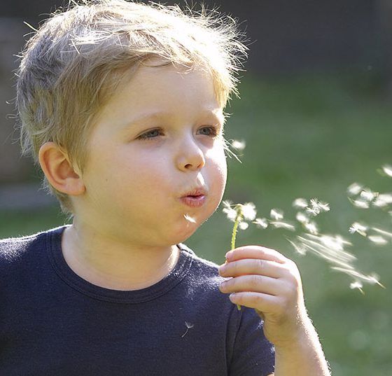 kind_allergie_lowenzahn
