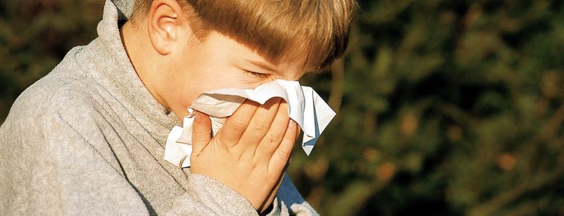 allergie_heuschnupfen