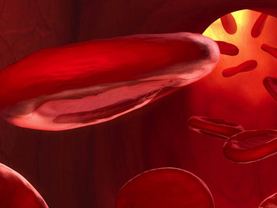 blutkorperchen_fotolia