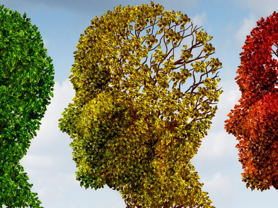 gehirn_demenz_gedachnis_fotolia_53108391_m