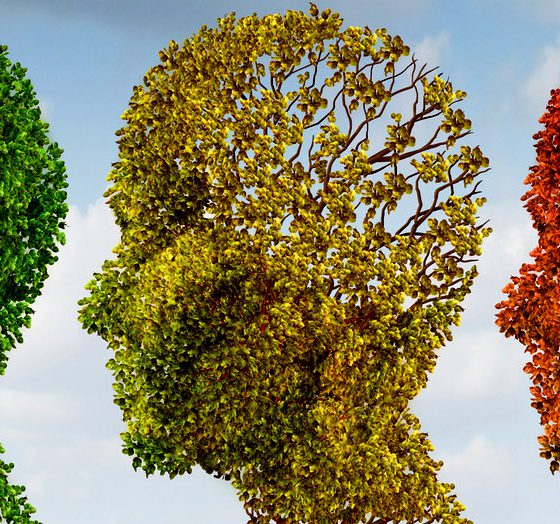 gehirn_demenz_gedachnis_fotolia_53108391_m