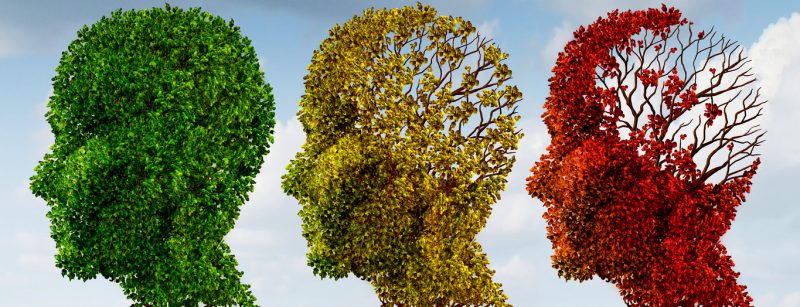 gehirn_demenz_gedachnis_fotolia_53108391_m