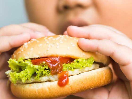 kind_adipositas_dick