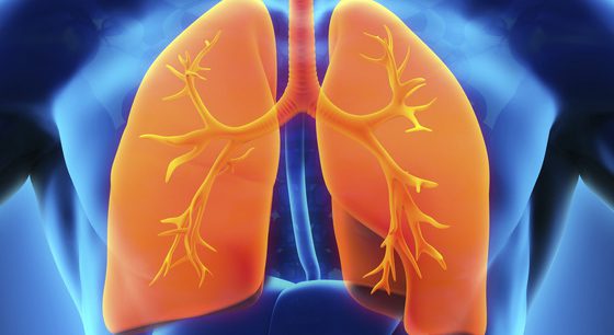 lungen_64977044_s_2