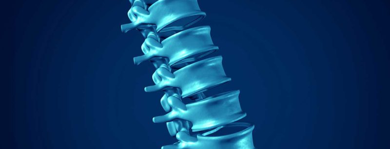 wirbelsaeule_ruecken