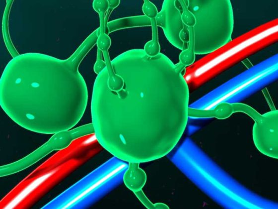 lymphknoten