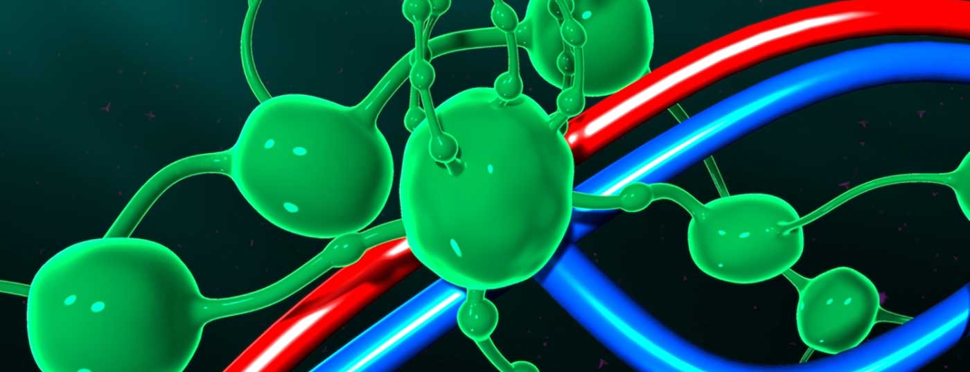 lymphknoten