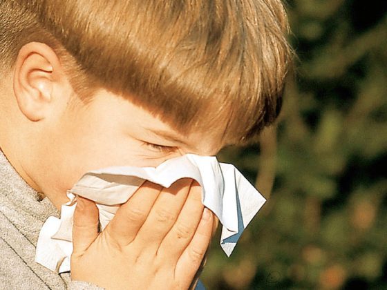 heuschnupfen_allergie