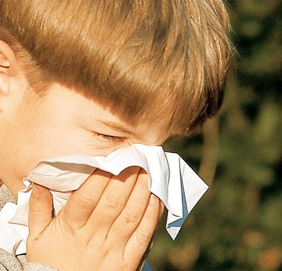 heuschnupfen_allergie