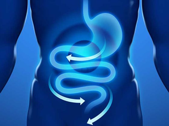 magen_darm_verdauung_gastro