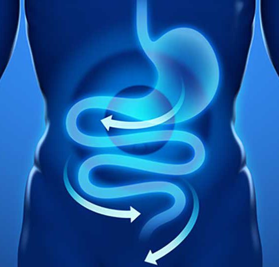 magen_darm_verdauung_gastro