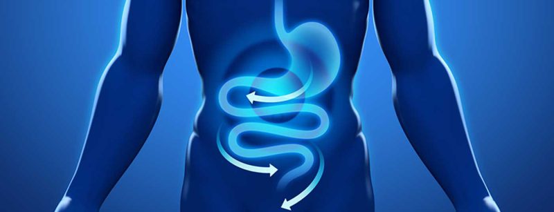 magen_darm_verdauung_gastro