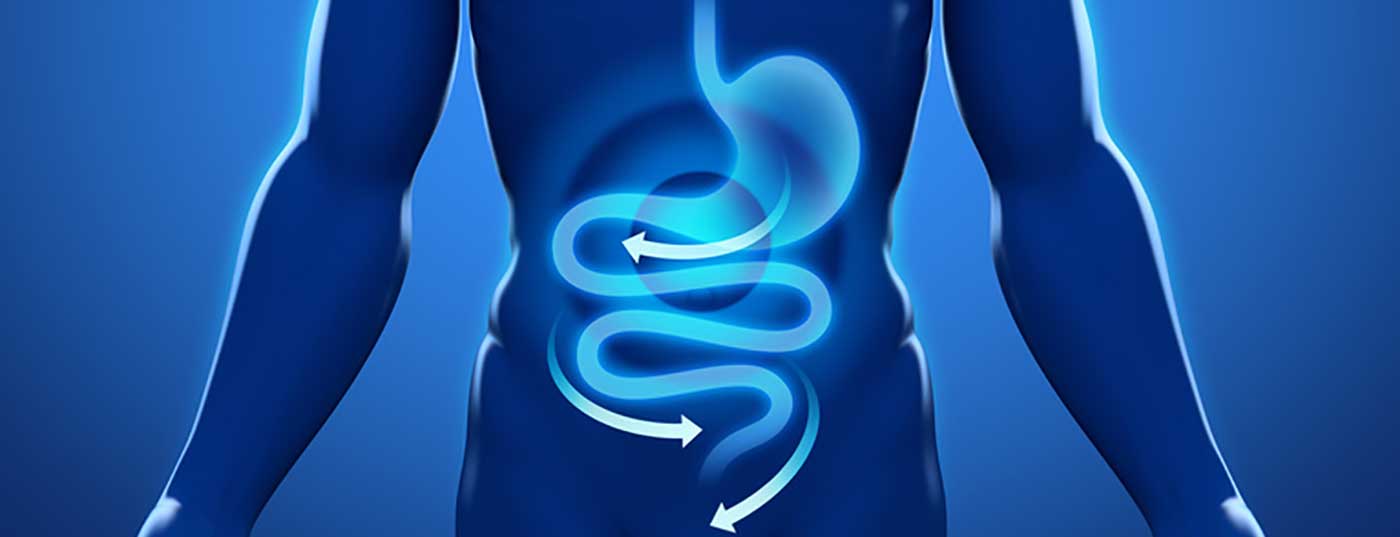 magen_darm_verdauung_gastro