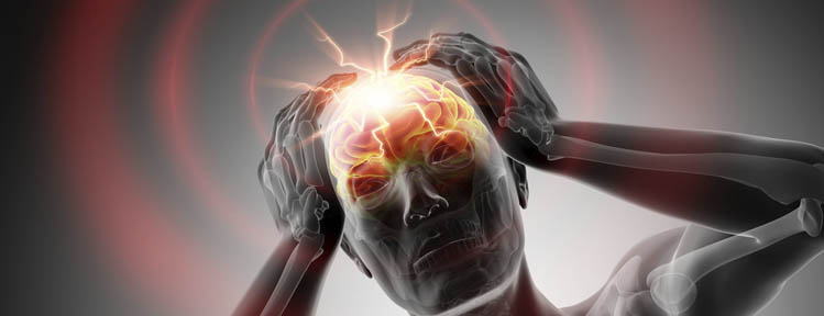fotolia_126090159_s_head