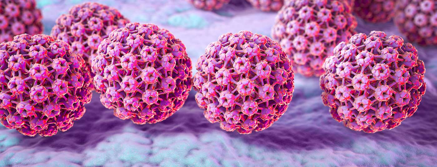 hpv-virus