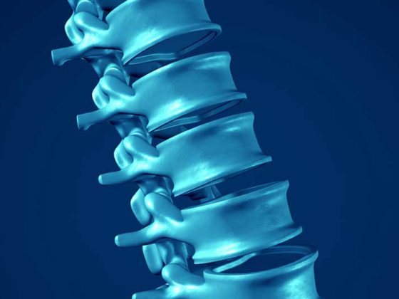 wirbelsaeule_ruecken