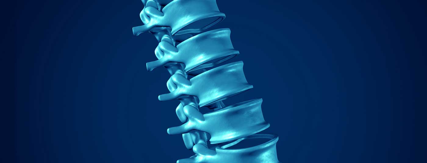 wirbelsaeule_ruecken