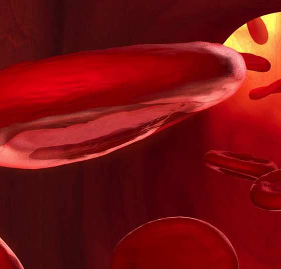 blutkorperchen_fotolia