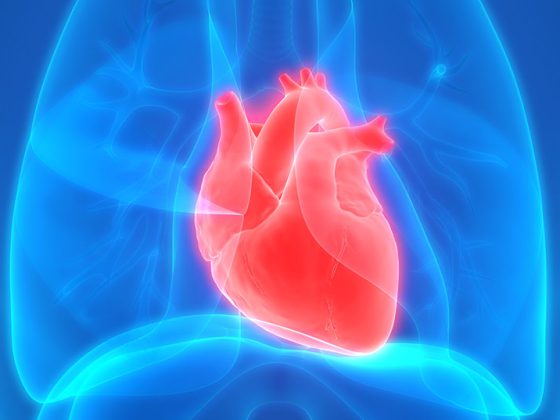 herz_istock-1086605546