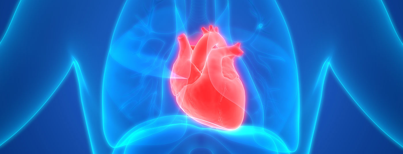 herz_istock-1086605546