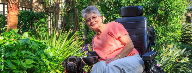 frau_rollstuhl_istock-946607840