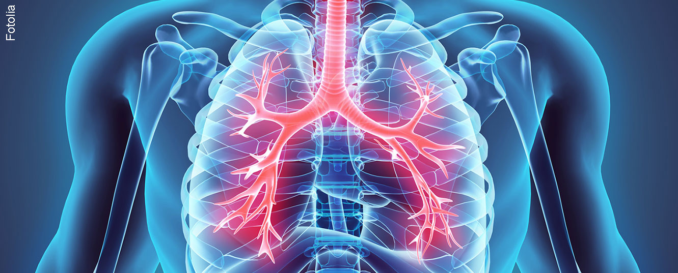 kehle_hals-lunge_fotolia_109032065_m