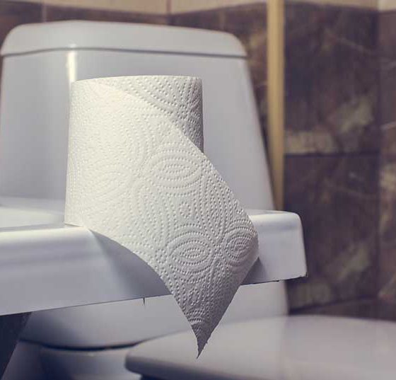 toilette_wc_istock-902183568