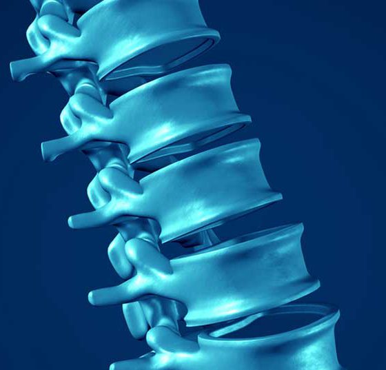 wirbelsaeule_ruecken