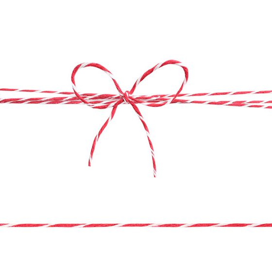 faden_ader_istock-1030354740