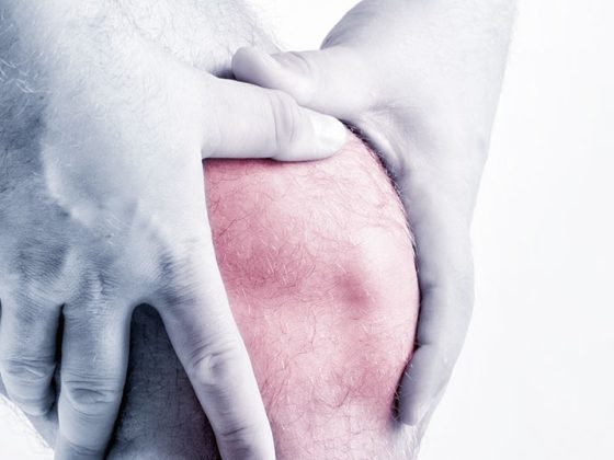 knie_istock-468765203