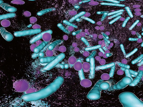 bakterien-biofilm_istock-1147805532