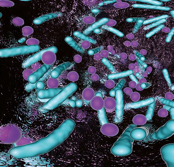 bakterien-biofilm_istock-1147805532