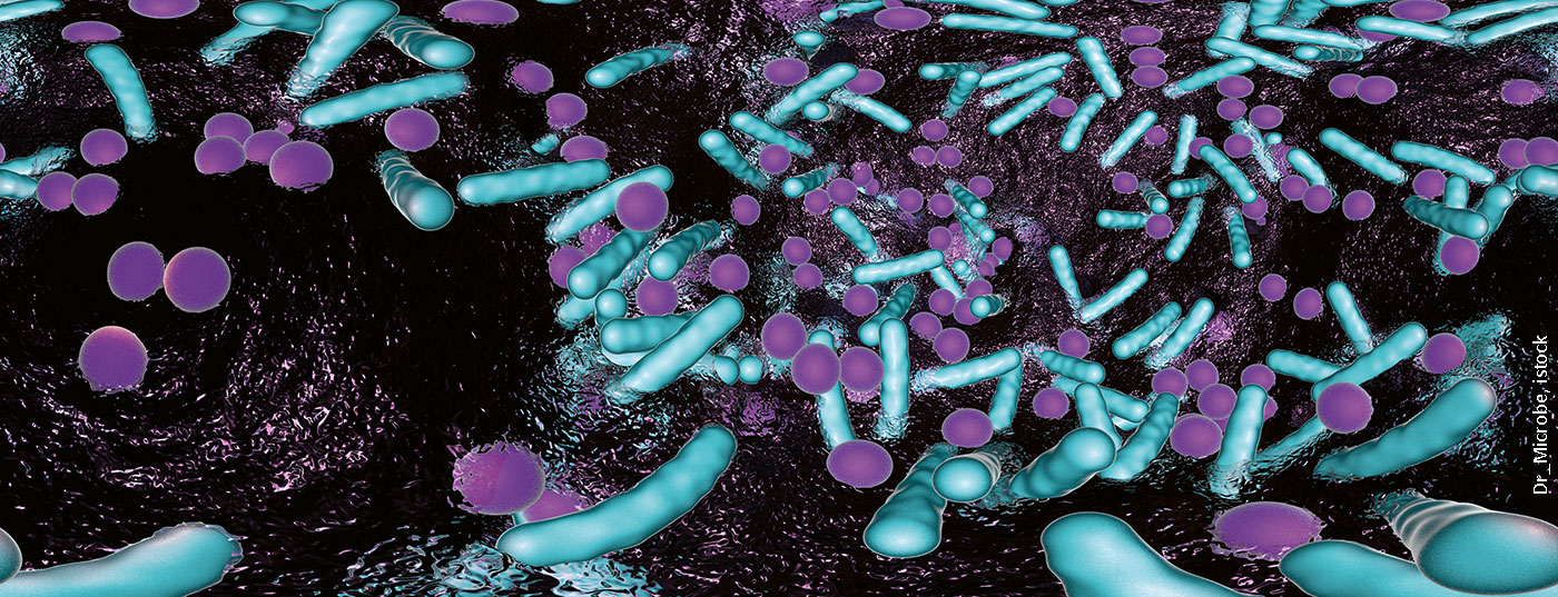 bakterien-biofilm_istock-1147805532