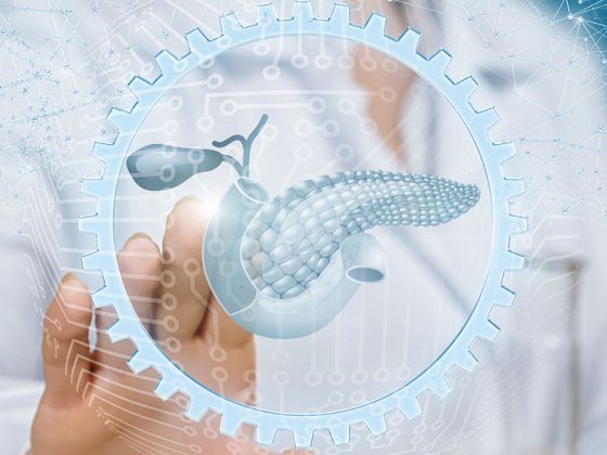 bauchspeicheldruese_istock-1163783267