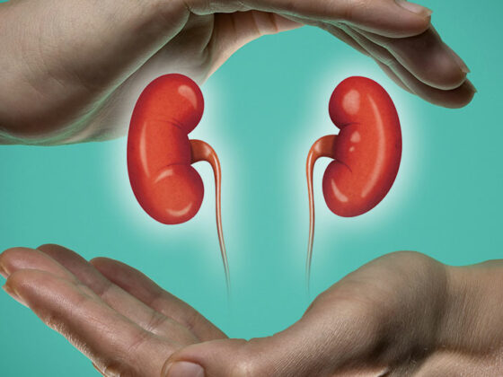 nieren_istock-1125719605