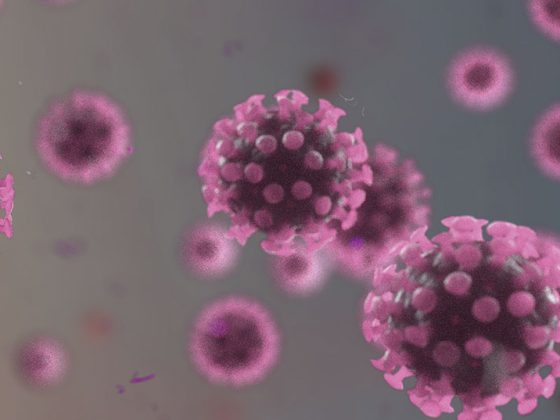 corona_istock-1205680525