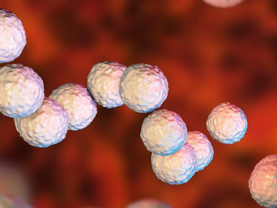 streptococcus-pyogenes_istock-808760696